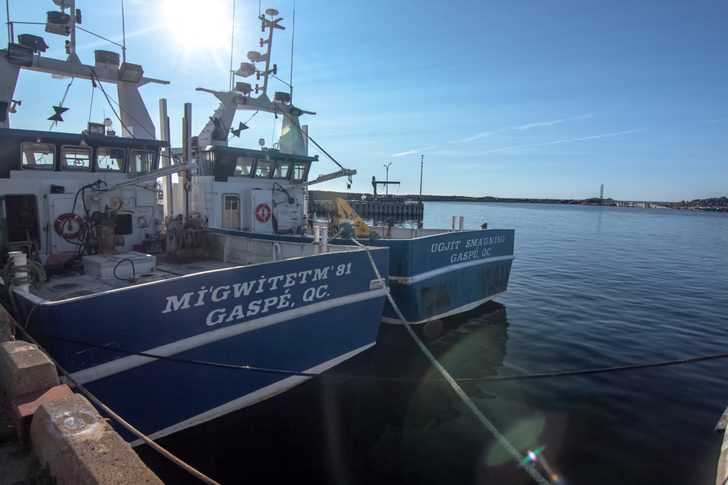 Nujignua'tegeg Fishing Quota Allocation